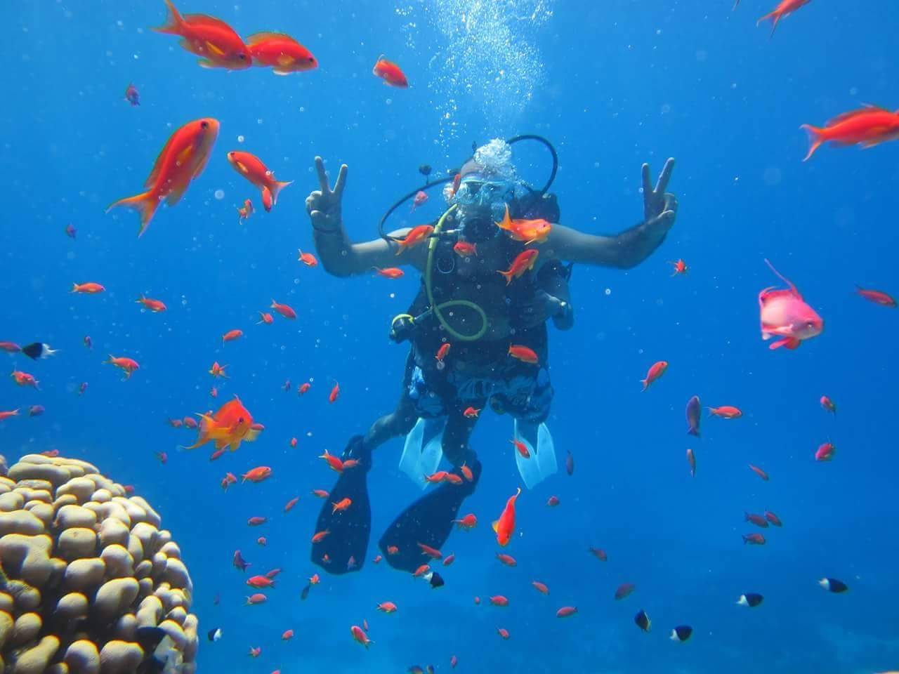 Red Sea Adventures