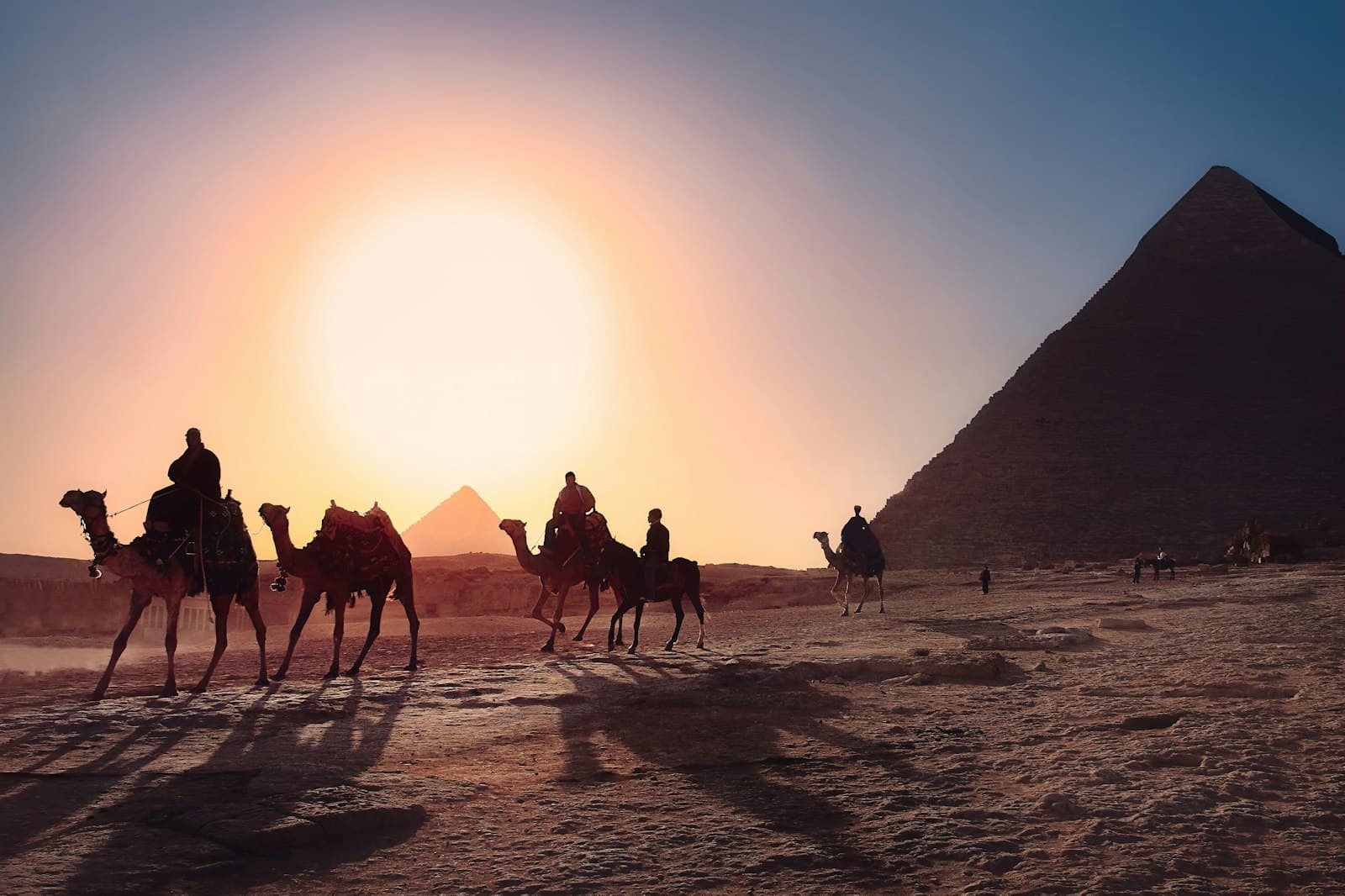 Camels crossing the desert before the Pyramids of Giza at sunset