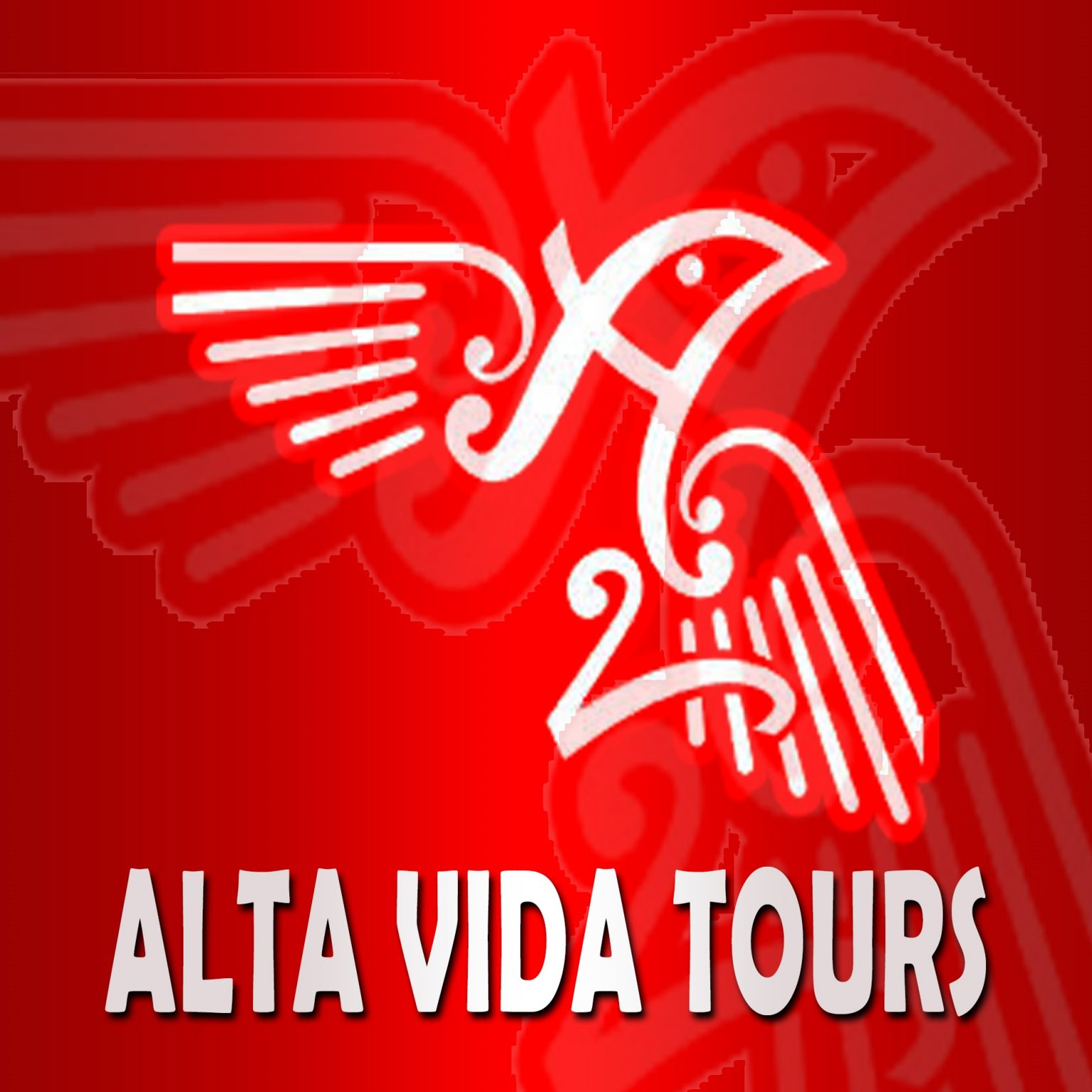 curiosities-about-arabic-language-alta-vida-tours